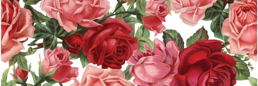 zuberanne18's profile banner image