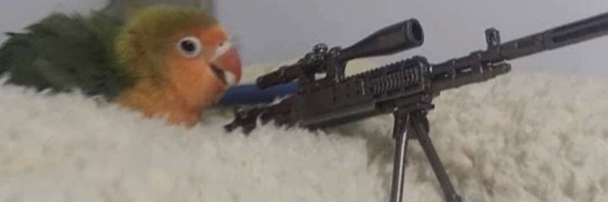 virgin__woolf's profile banner image