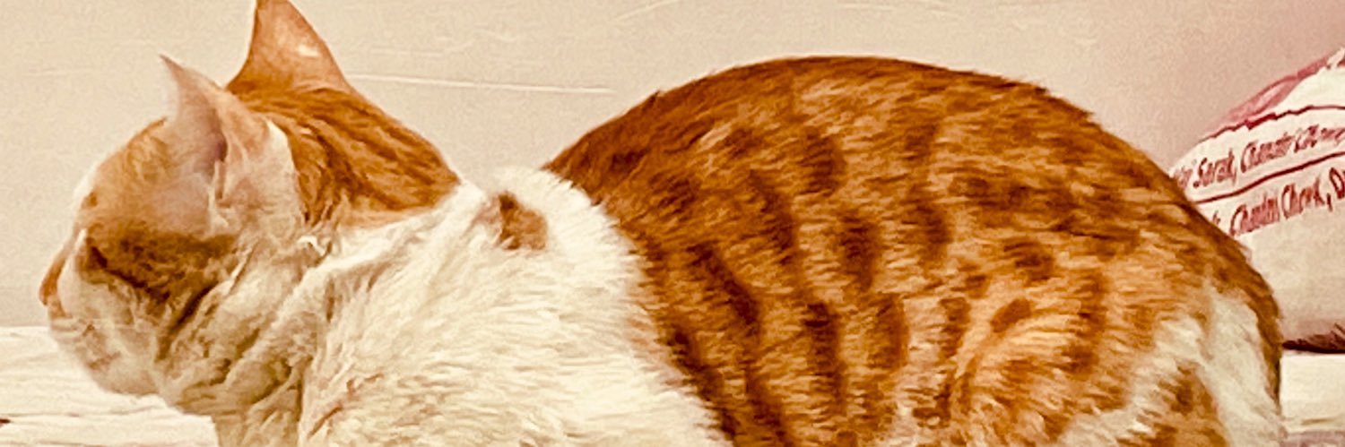 Msheeza's profile banner image