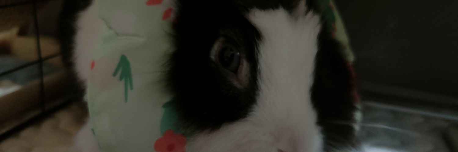 1015BILL's profile banner image