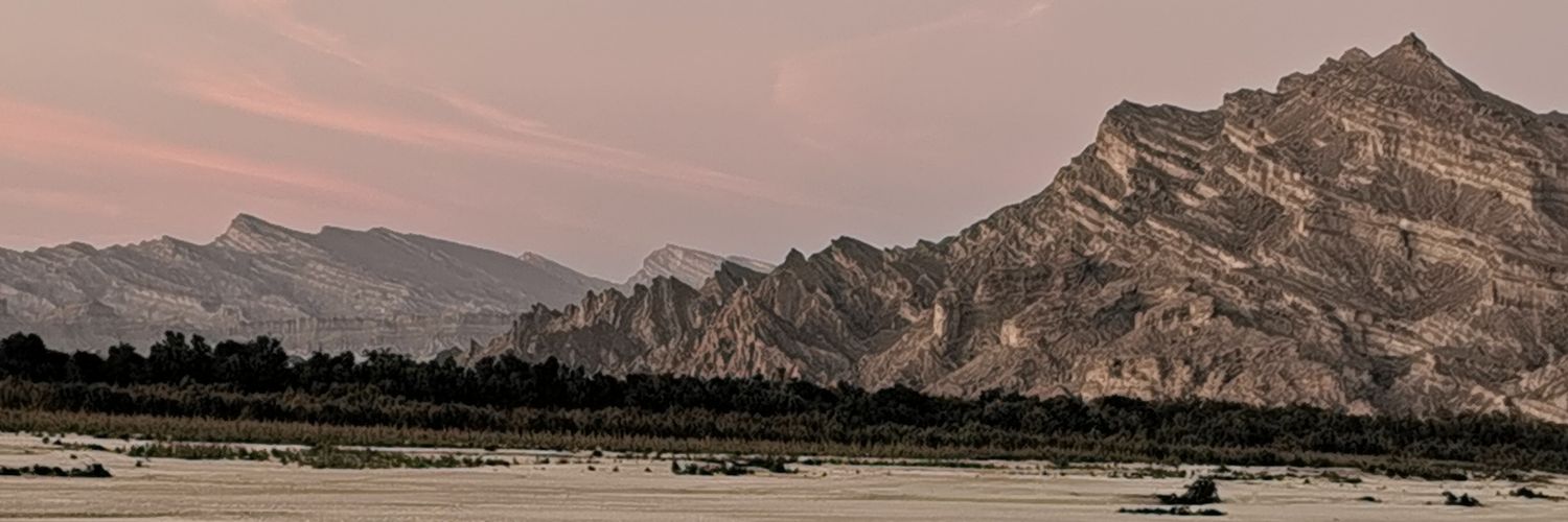 Zahid F. Ebrahim banner