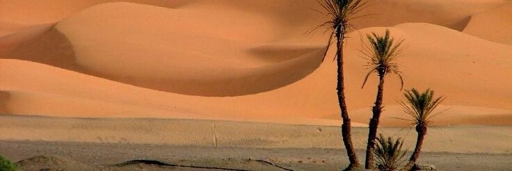 AlshuhoomiSaid's profile banner image