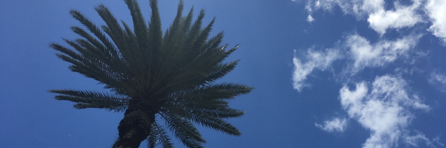 hayatoo2's profile banner image