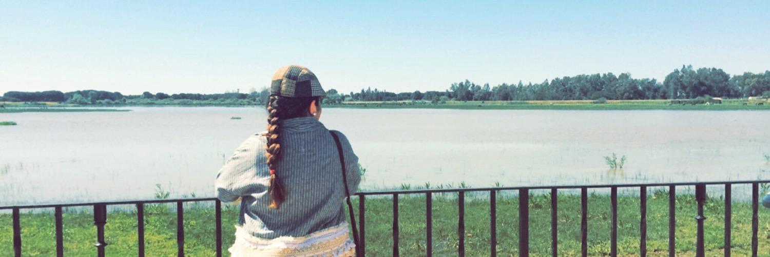ROCIORogofer's profile banner image
