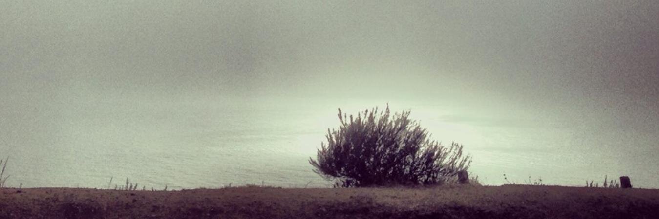 Rac_F's profile banner image