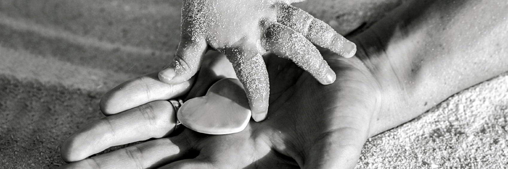 Families in Business banner