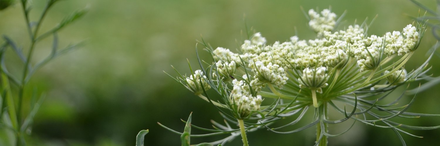 timopsaarinen's profile banner image