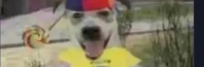404notkayla's profile banner image