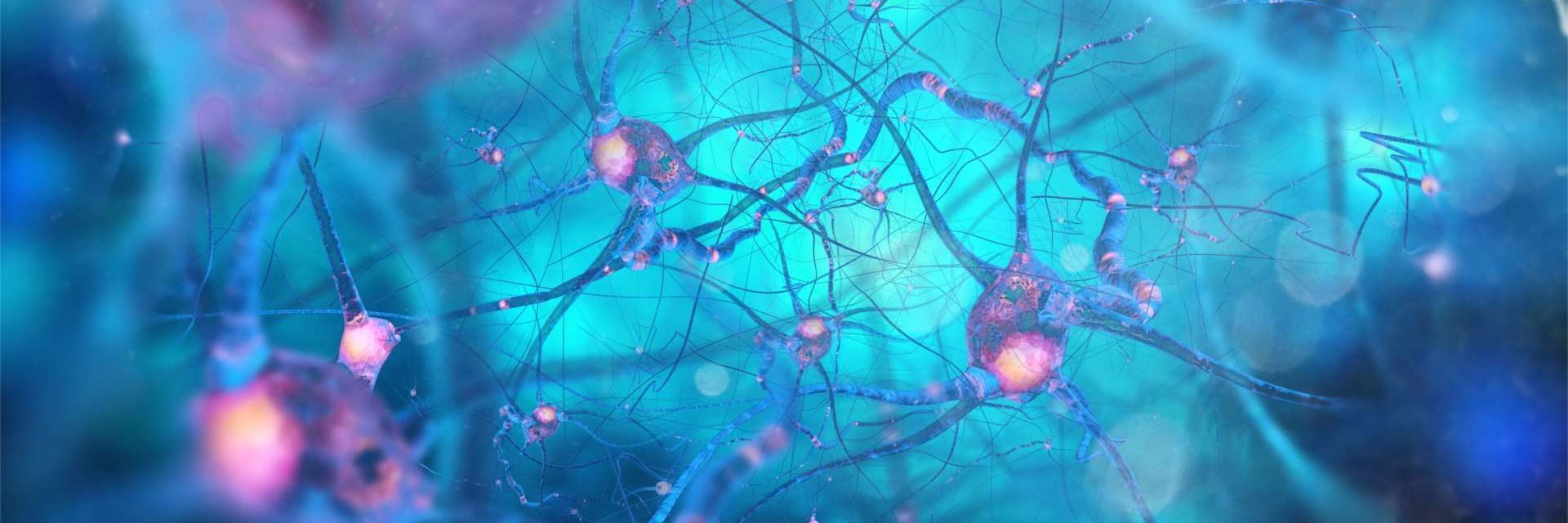 PrecisionMedUK's profile banner image