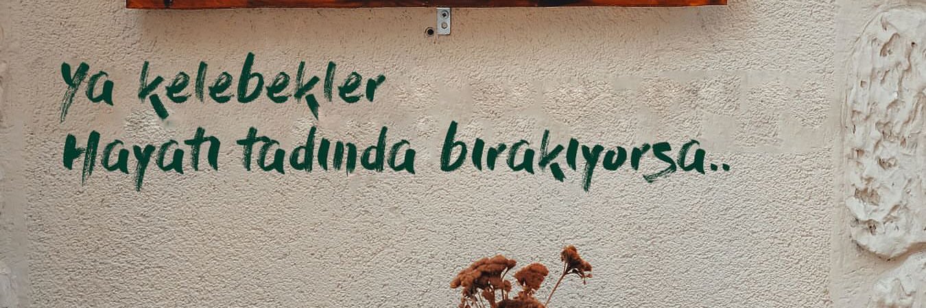hatice banner