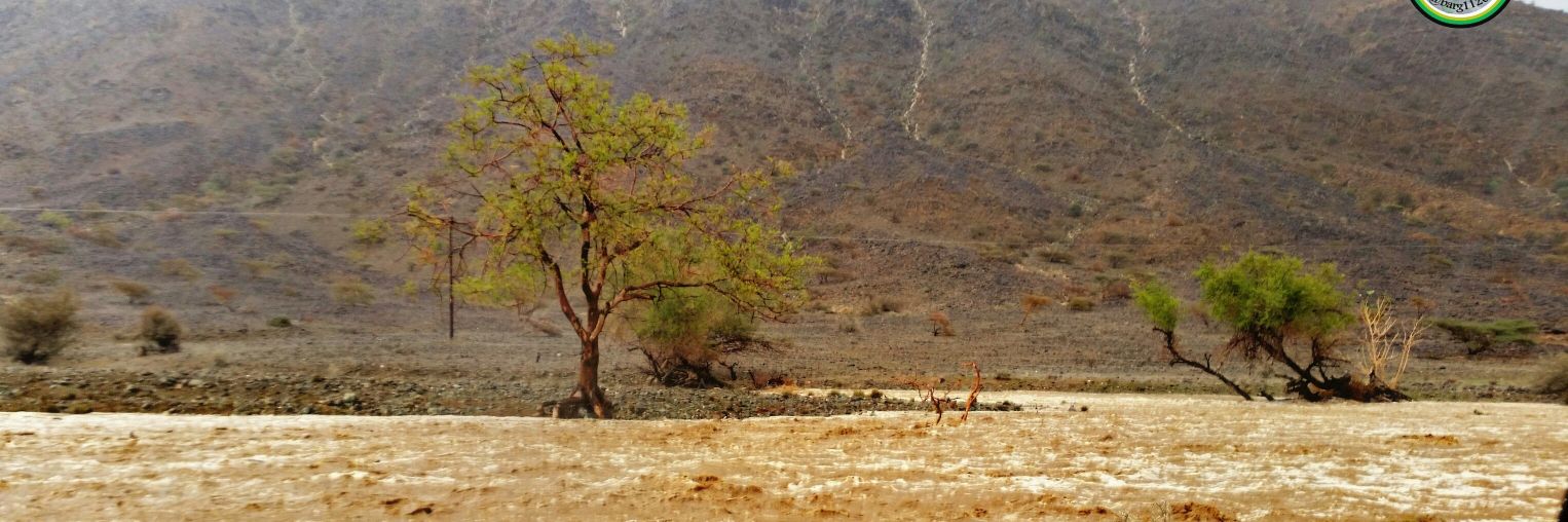 أحمد آل حسن العيسي banner