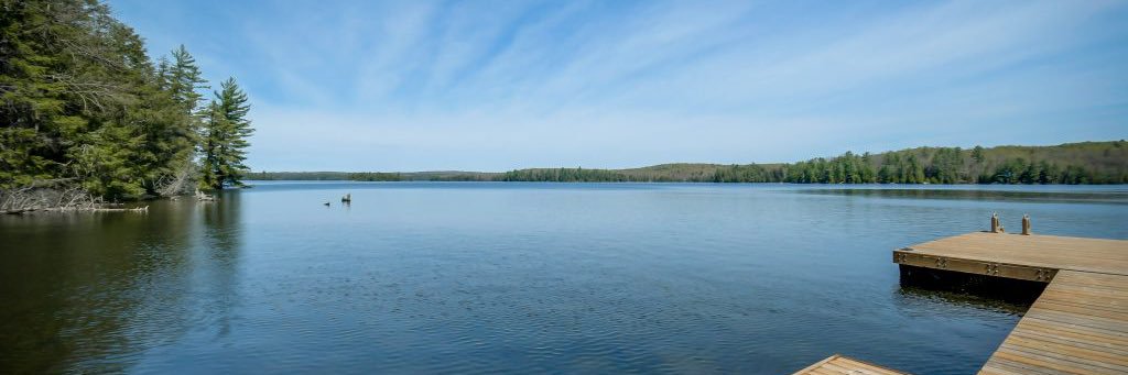 bithead 🇨🇦 banner