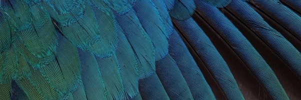 HelenSaviour's profile banner image