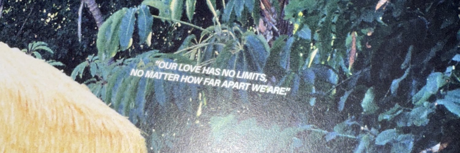 fearlesskiki05's profile banner image
