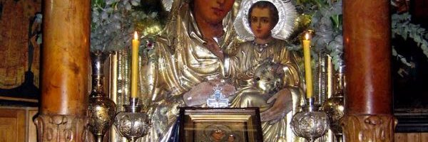 mariarosalibra's profile banner image