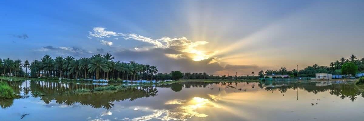 SFelieh's profile banner image