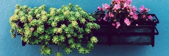 Halima__AD's profile banner image
