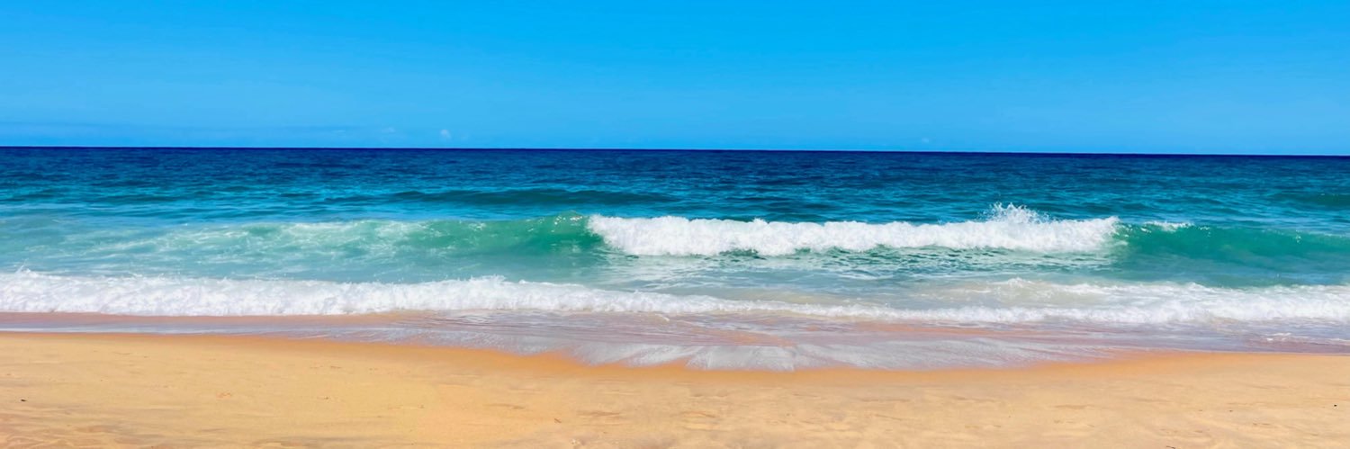 vtbrito's profile banner image
