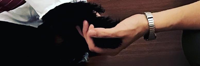 Nere banner