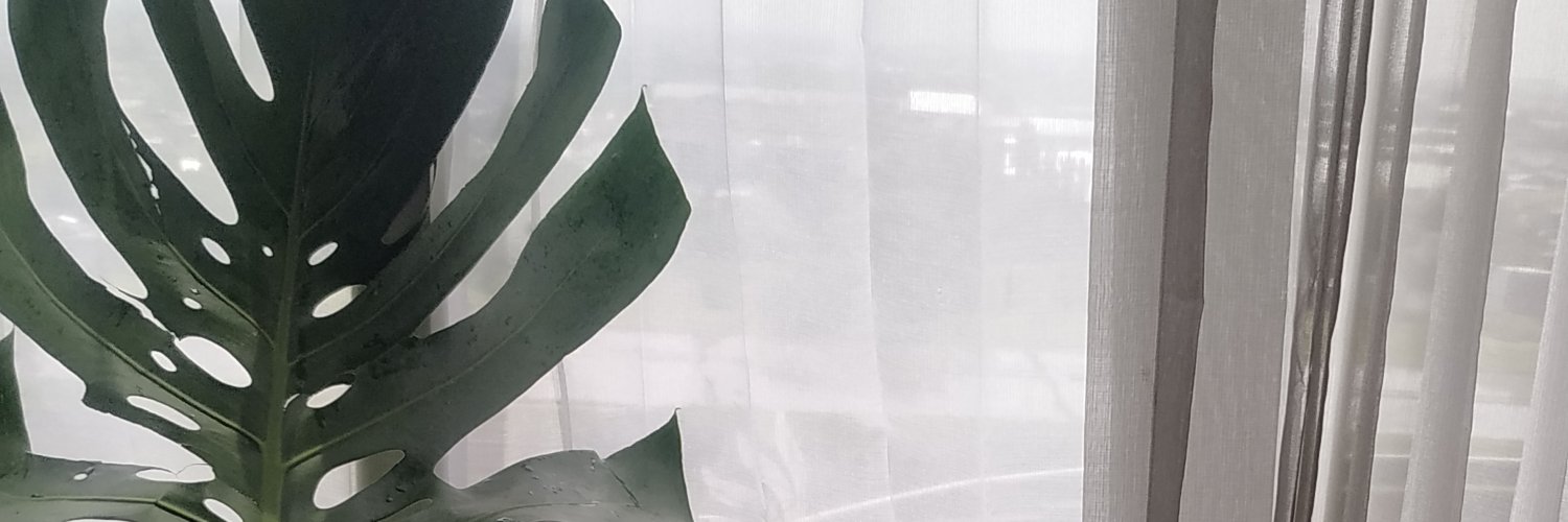 Bonagamo's profile banner image