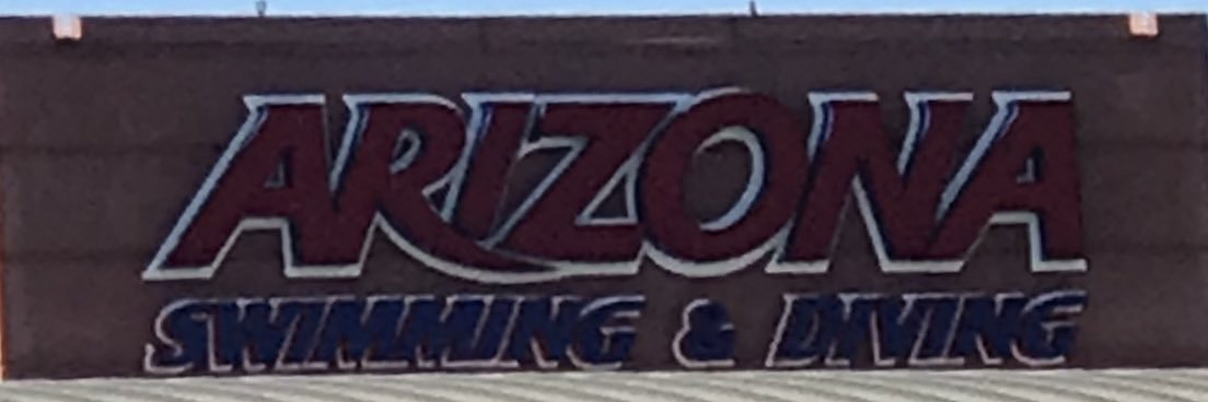 WildcatSwimDad banner