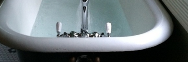 Maggie Profile Banner