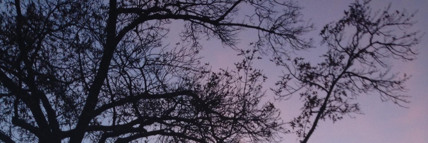 why_krxs's profile banner image