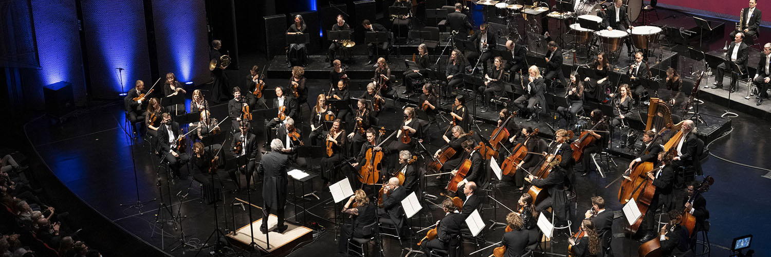 Winnipeg Symphony Orchestra banner
