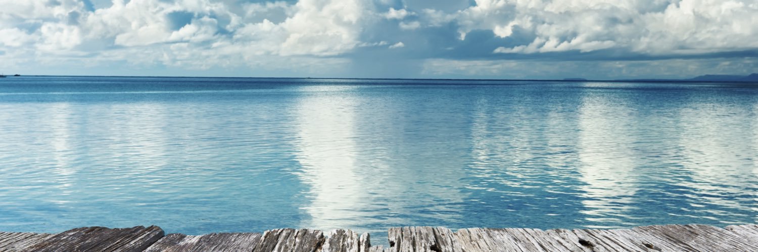 Dr. Willie Foster banner