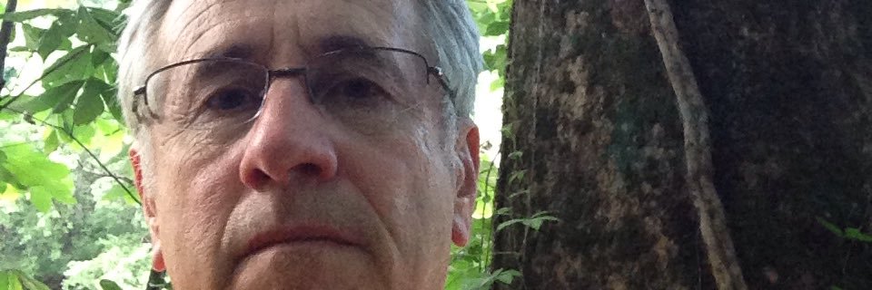rdgambrell's profile banner image