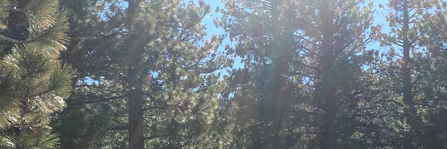Thefullermonkey's profile banner image
