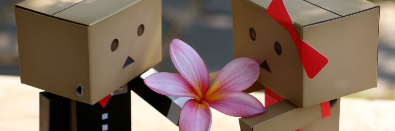 Ryan Agung Brilliana banner