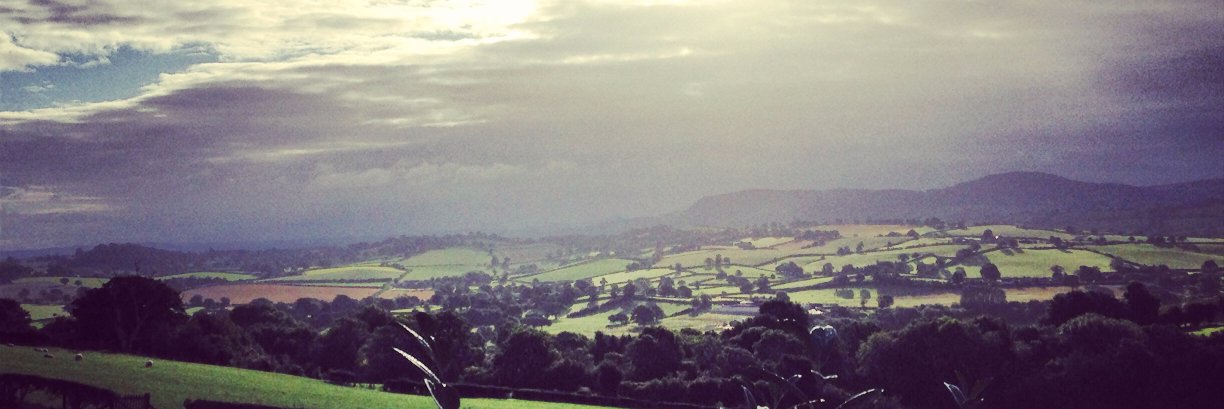 Hatty_May's profile banner image