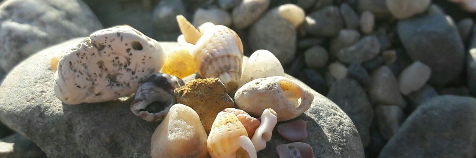 Begoña Martin banner