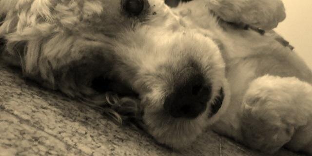 TaldoMar's profile banner image