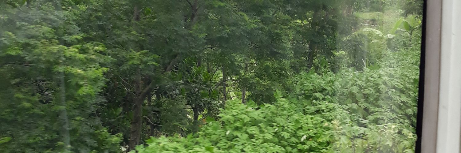 Priski_H's profile banner image