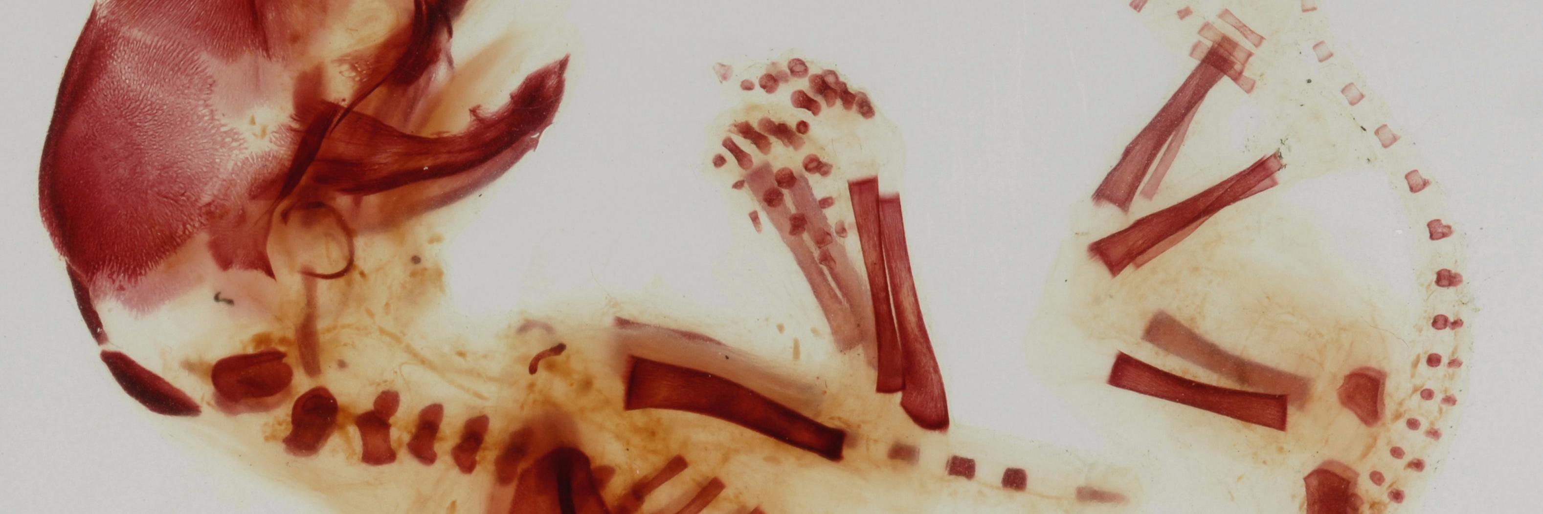 AnatomyToYou's profile banner image