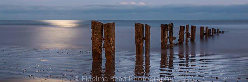 fidelma_read's profile banner image