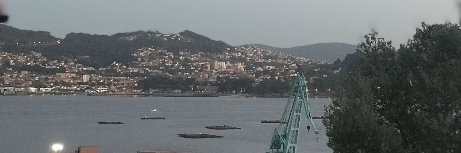 Silvia Messina banner