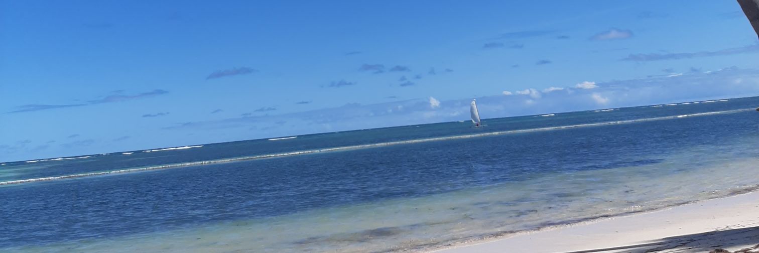 silcevilla's profile banner image