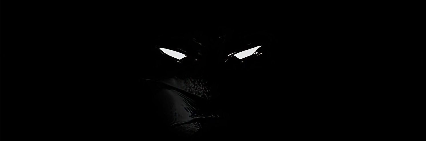 eliistheman69's profile banner image