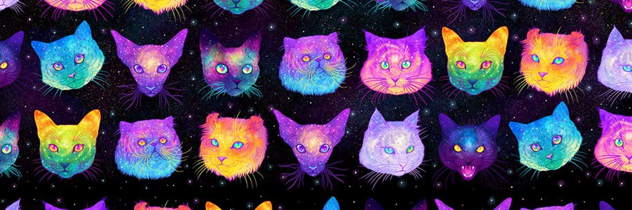 Drama queen 🌳 banner