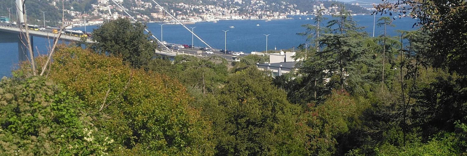 klas1972's profile banner image