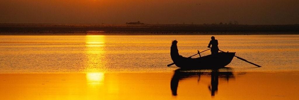 elbasha5555's profile banner image