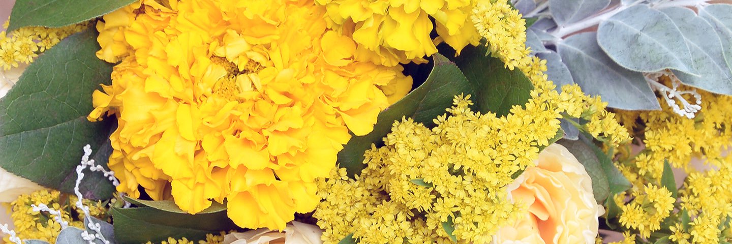 floysflowers's profile banner image
