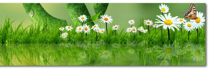 jamil salongo banner