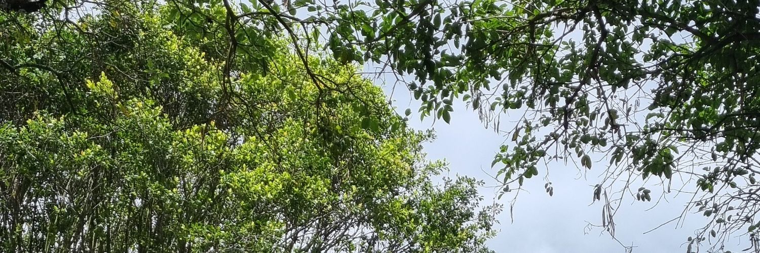 mfjurado's profile banner image