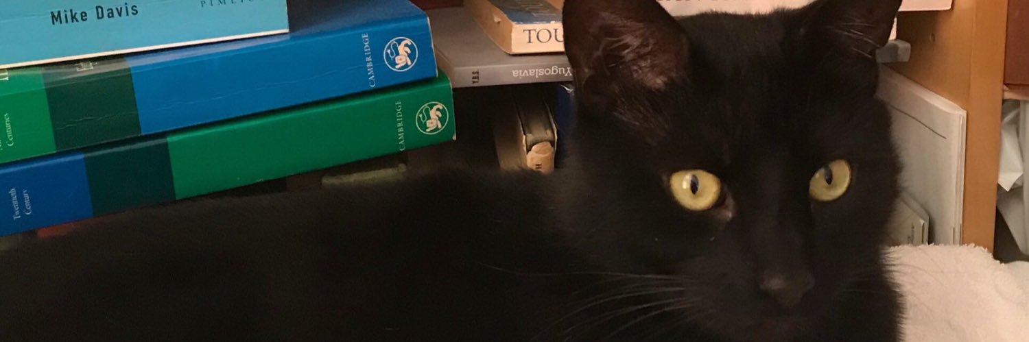 Mira K McMullen banner