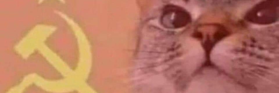amaliaroxa's profile banner image