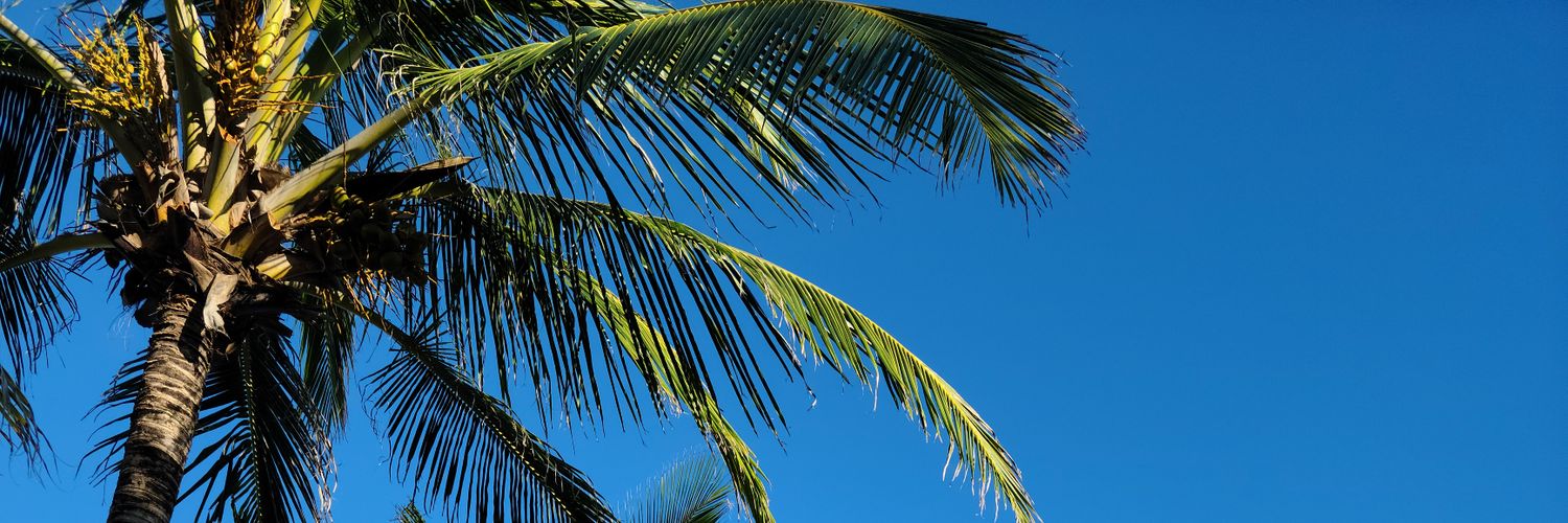 OmarArceo's profile banner image